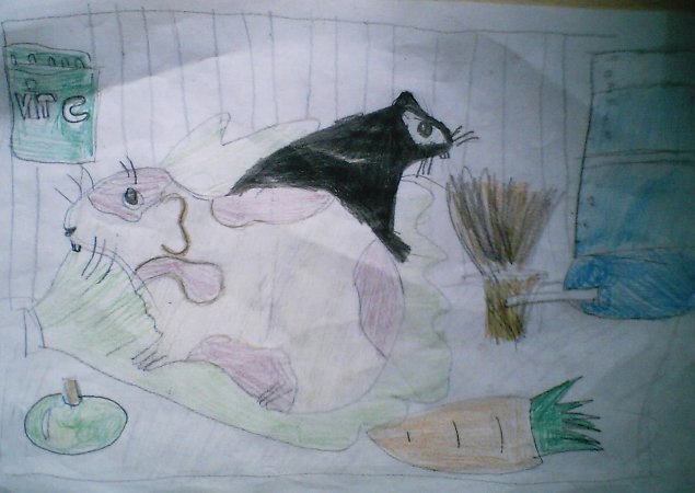 http://www.chons.fr/uploads/images/concours%20dessin%20avril10/cochons-d-inde-liloolooo.jpg