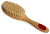 brosse pour cochon d'inde